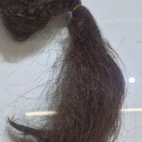 فروش مو|خدمات آرایشگری و زیبایی|شیراز, غدیر جنوبی|دیوار
