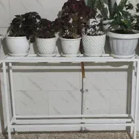 استندگل آهنی