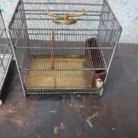 قفس سهره دستبافت کلکسیونی|لوازم جانبی حیوانات|تهران, هاشم‌آباد|دیوار