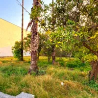 زمین235متری ،سندتکبرگ،قابل ساخت با انشعابات