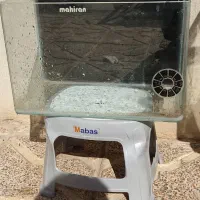 اکواریوم ماهی