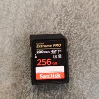 رم sandisk 256