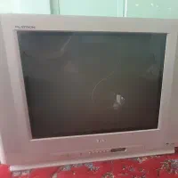 تلویزیون