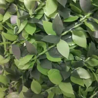 دونیای گرینوال دونیای چمن|گل مصنوعی|قائم‌شهر, |دیوار