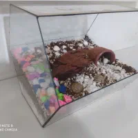 فروش تراریوم زیبا|صنایع دستی و سایر لوازم تزئینی|خرمدره, |دیوار