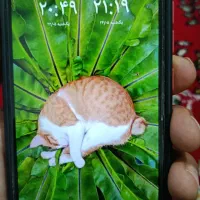 گوشی نوت 9|موبایل|مرند, |دیوار
