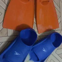 فین شنا