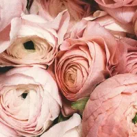 فروش سیم‌کارت 09166292676