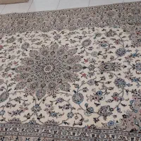 فرش ۶ متری اردکان یزد . گل ابریشم|فرش|تهران, مرزداران|دیوار