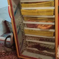 دستگاه جوجه کشی مشهد برق