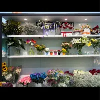 واگذاری گلفروشی|اجارهٔ مغازه و غرفه|قم, آزادگان|دیوار