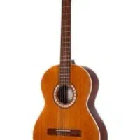 گیتار سالم و تمیز