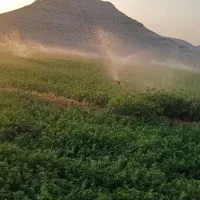 فروش فواره بارانی|خدمات باغبانی و درختکاری|شیبکوه (فارس), |دیوار