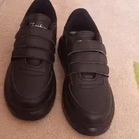 کفش ونس