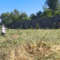 نیازمند زمین مناسب کشت صیفی