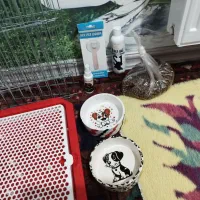 قفس سگ جایه جیش شامپو بورس جایه غذا دوعدد