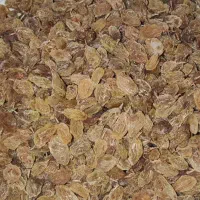 کشمش درجه یک|خوردنی و آشامیدنی|شیراز, دروازه اصفهان|دیوار