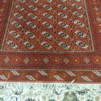 فروش فرش جرگلان و4عدد پشتی نونو 6متری