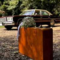 اجاره ماشین کلاسیک برای عروسی،فرمالیته و ...|خودرو اجارهای|نوشهر, |دیوار