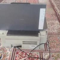 پیرنتر