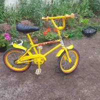 دو عدد دوچرخه