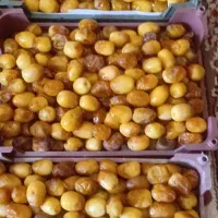 رطب برحی