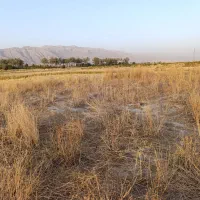 1400 متر زمین|فروش دفتر صنعتی، کشاورزی، تجاری|کازرون, |دیوار