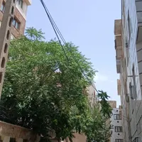 آپارتمان ۵۰ متری ۱ خوابه طبقه ۳ در جیحون