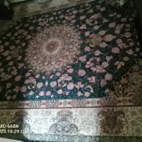 فرش 12|فرش|زنجان, |دیوار