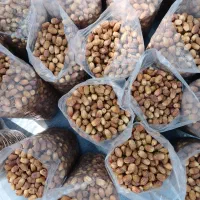 فروش خرمای عمده قصرشیرین|عمدهفروشی|قصرشیرین, |دیوار