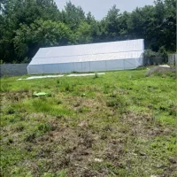گلخانه اجاره ای عباس اباد پلنگ کلا