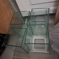 ماهی کوپی و شیشه اکواریوم کوچیک|ماهی|اردبیل, |دیوار