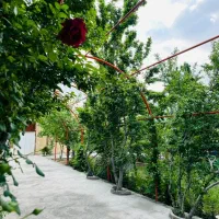 ملک کوشک با آب برق گاز مناسب سوله و باغ