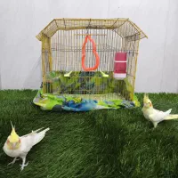 شهرک چمران