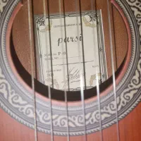گیتار پارسی p40 آکبند