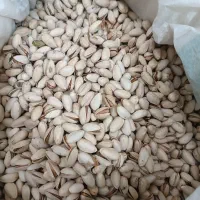 پسته|خوردنی و آشامیدنی|مشهد, پورسینا|دیوار