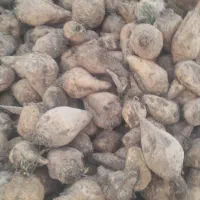 چغندر|عمده‌فروشی|اصفهان, نقش جهان|دیوار