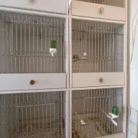 قفس مدل اردشیری،خودم ساختم