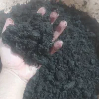 فروش خاک سیاه غنی