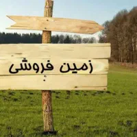 فرصت طلایی سرمایه گذاری