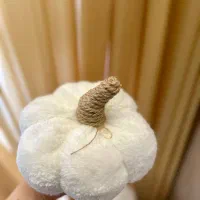 کوسن پامکین