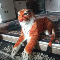 ببر بزرگ|اسباب‌‌بازی|ایوان, |دیوار