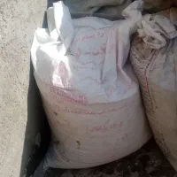 بار کفتر