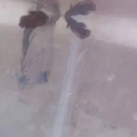 دو عدد فایتر ماده
