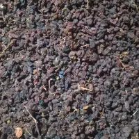 کشمش جهت آبگیری