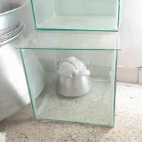 آکواریوم|ماهی|تویسرکان, |دیوار