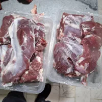 استخدام سلاخی و قصابی
