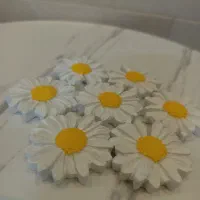 انواع جاشمعی و جاعودی