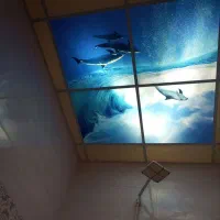 عمارت ویلایی|فروش خانه و ویلا|قیدار, |دیوار