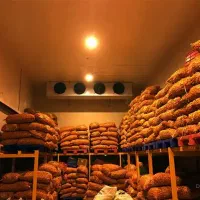 ساخت سردخانه سیب زمینی اجرا صفرتاصد